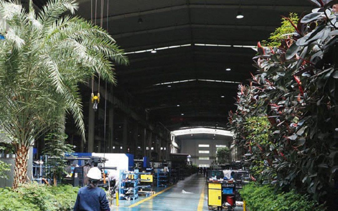 Machine Production under Palm Trees